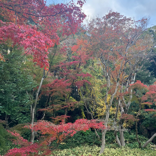 年末年始の休暇のお知らせ